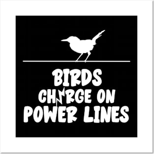 Birds Charge On Power Lines Posters and Art